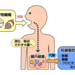 【速報】腸内細菌が大腸がんを引き起こす可能性がある！？正しい知識をつける！