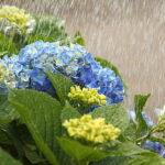 梅雨シーズン到来！今年の湿気具合はレベルが違うらしい・・・